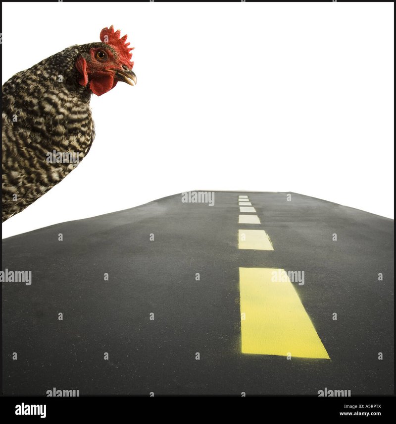 Spain - chicken road 2
